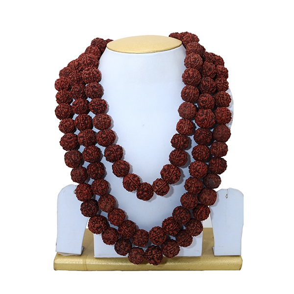 All About Rudraksha Mala A Sacred Bead with Spiritual Significance